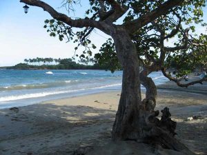 Seaside Tranquility in Cofresi