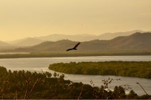 The Five Lagoons of Chacahua, Mexico 1